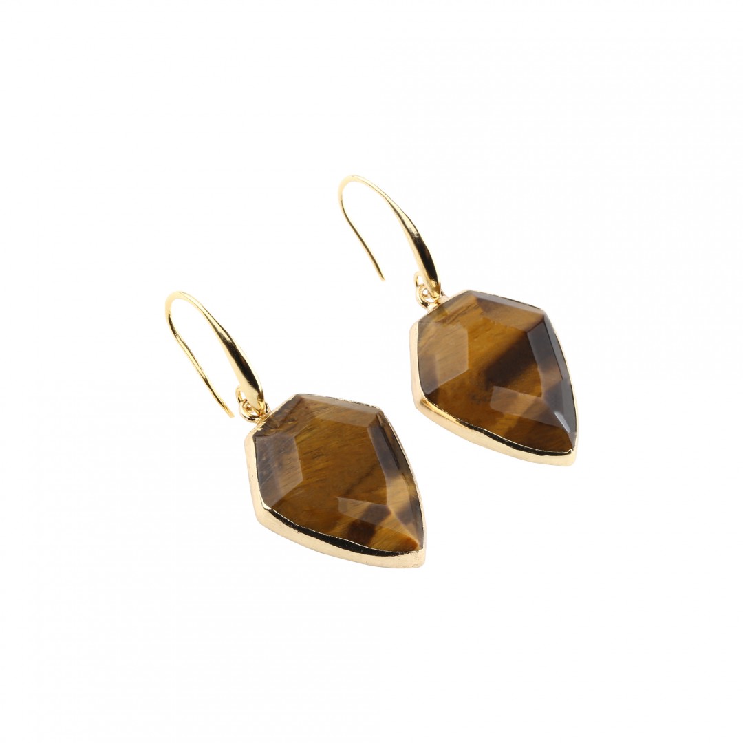 Tigers Eye Earrings